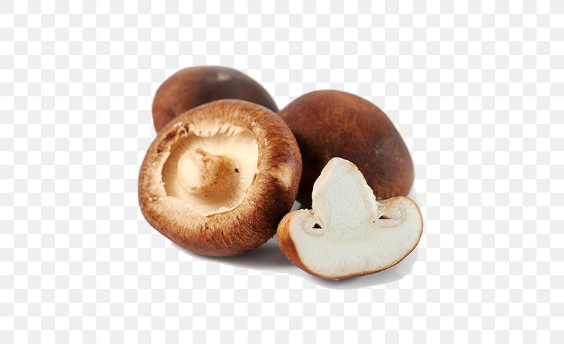 Hot Pot Bibimbap Mushroom Shiitake, PNG, 500x500px, Hot Pot, Agaricaceae, Agaricomycetes, Bibimbap, Bmp File Format Download Free