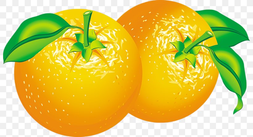 Orange Juice Vector Graphics Fresh Oranges Fruit, PNG, 800x446px, Orange Juice, Apple, Bitter Orange, Citric Acid, Citrus Download Free