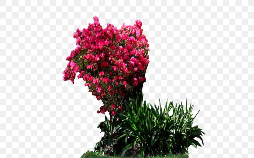 Shrub Garden DeviantArt Houseplant, PNG, 512x512px, Shrub, Annual Plant, Bougainvillea, Cut Flowers, Decal Download Free