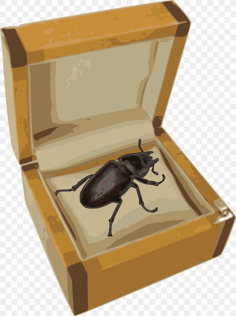 Beetle Philosophy Clip Art Image Philosopher, PNG, 955x1280px, Beetle, Arthropod, Box, Gilles Deleuze, Insect Download Free