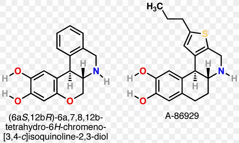 Dopamine Receptor D1 Estrogen Receptor, PNG, 2646x1586px, Watercolor, Cartoon, Flower, Frame, Heart Download Free