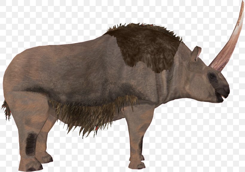 Elasmotherium Horned Gopher Bison Mammal, PNG, 814x578px, Elasmotherium, Animal, Bison, Bull, Cattle Download Free