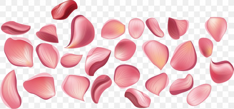 Rose Petals Drawing Vector Images (over 18,000)