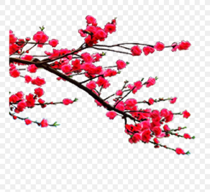 小說, PNG, 750x750px, Plum Blossom, Art, Blossom, Branch, Cherry Blossom Download Free