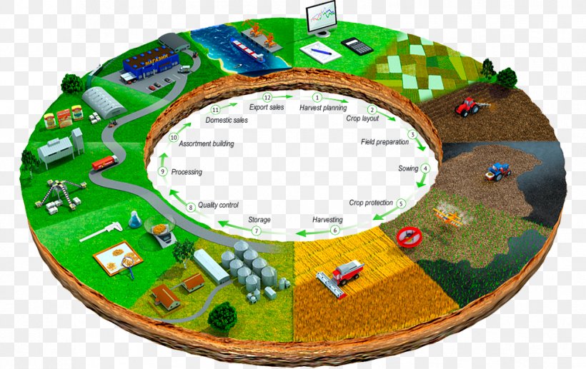 Agricultural Cycle Agriculture Production Crop, PNG, 992x626px ...