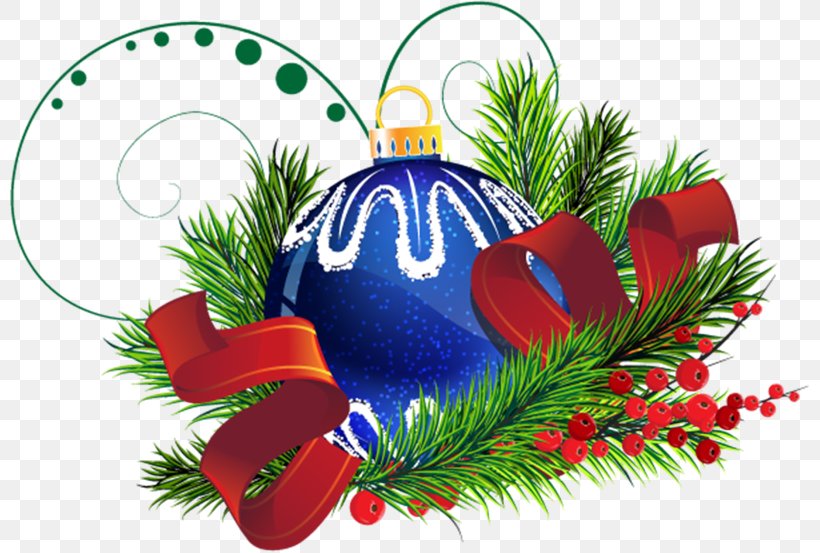 Christmas Ornament, PNG, 800x553px, Christmas Ornament, Christmas, Christmas Decoration, Conifer, Evergreen Download Free