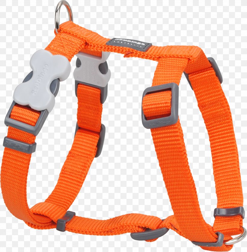 Dog Harness Dingo Dog Collar, PNG, 3000x3059px, Dog, Collar, Dingo, Dog Collar, Dog Harness Download Free