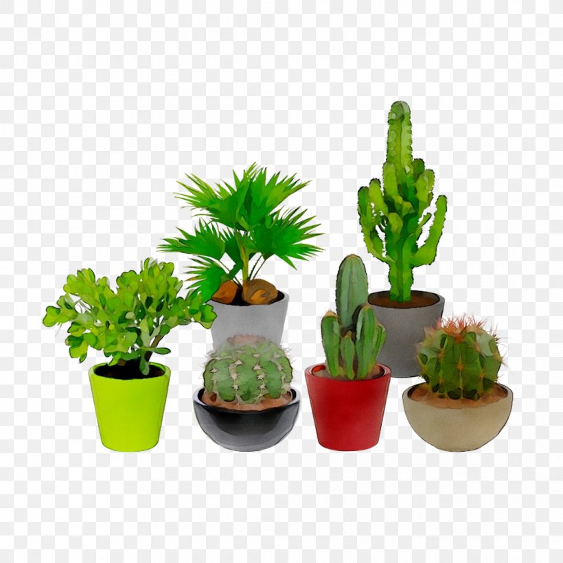 Flowerpot Houseplant, PNG, 1062x1062px, Flowerpot, Aquarium Decor, Cactus, Flower, Flowering Plant Download Free