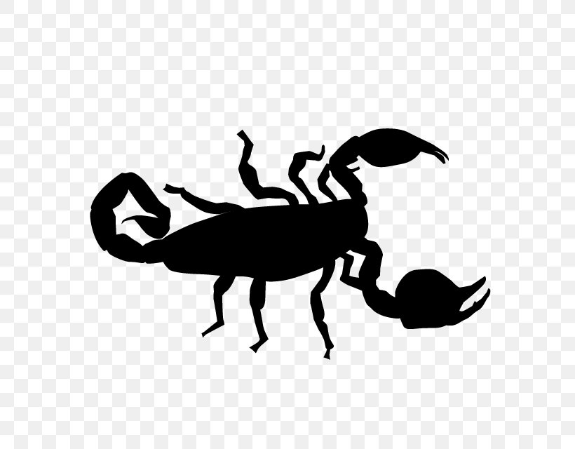 Insect Silhouette Black Cartoon Clip Art, PNG, 640x640px, Insect, Artwork, Black, Black And White, Cartoon Download Free