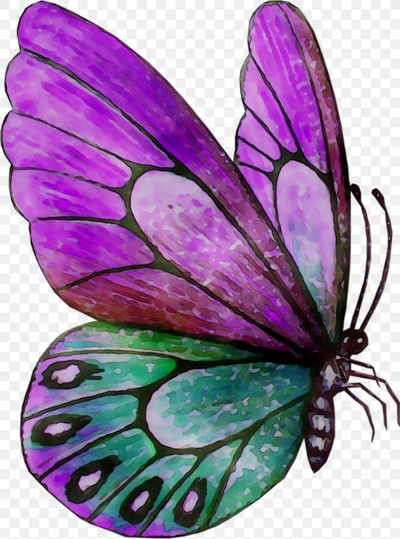 Monarch Butterfly Brush-footed Butterflies Moth Purple Fairy, PNG, 1080x1454px, Monarch Butterfly, Brushfooted Butterflies, Butterfly, Fairy, Feather Download Free
