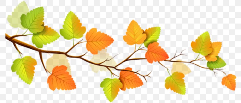 Orange, PNG, 790x350px, Leaf, Branch, Flower, Orange, Plant Download Free