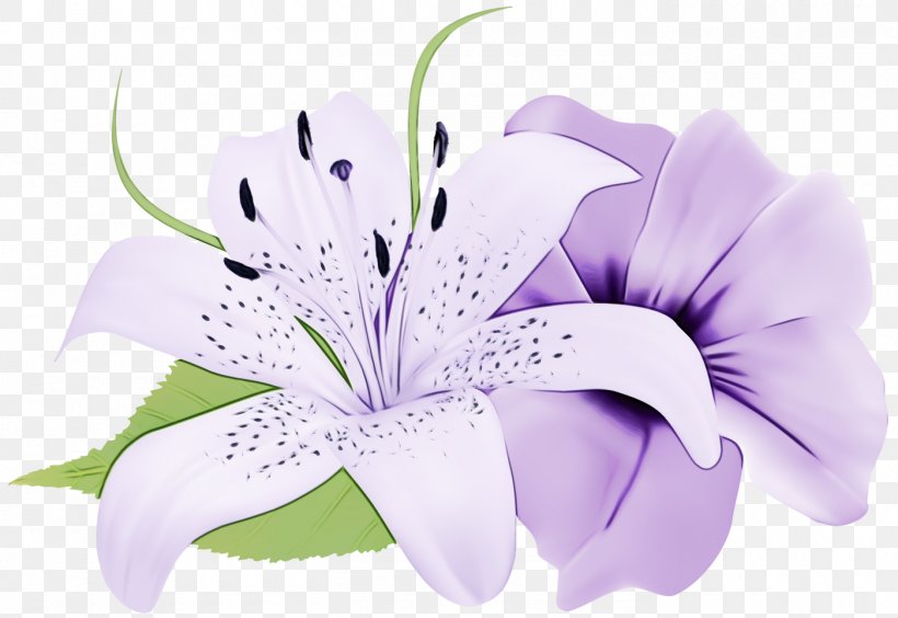 Purple Watercolor Flower, PNG, 1400x963px, Watercolor, Cut Flowers, Floral Design, Flower, Flower Bouquet Download Free