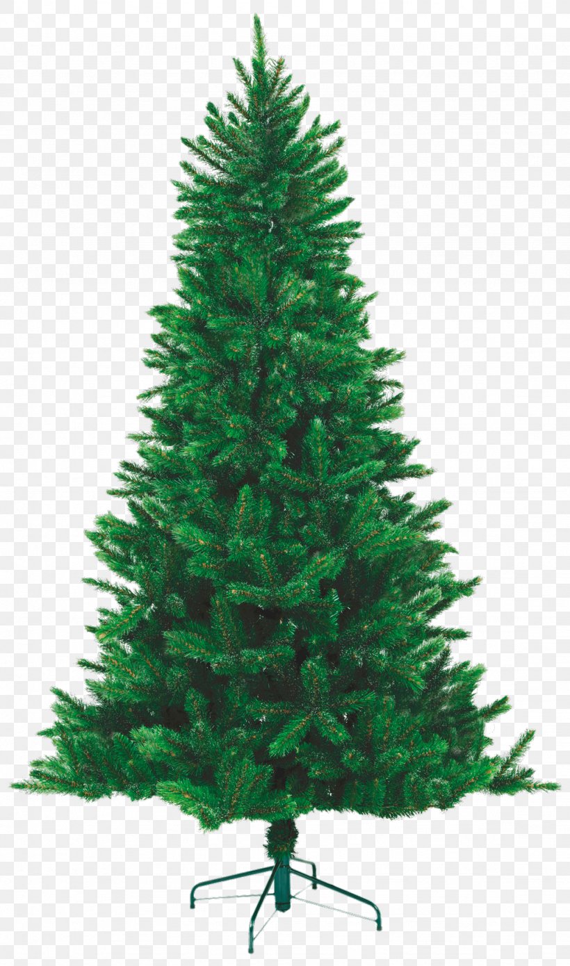 Needle Norway Spruce New Year Tree Green Pine, PNG, 1024x1736px, Needle, Artificial Christmas Tree, Artikel, Biome, Christmas Decoration Download Free
