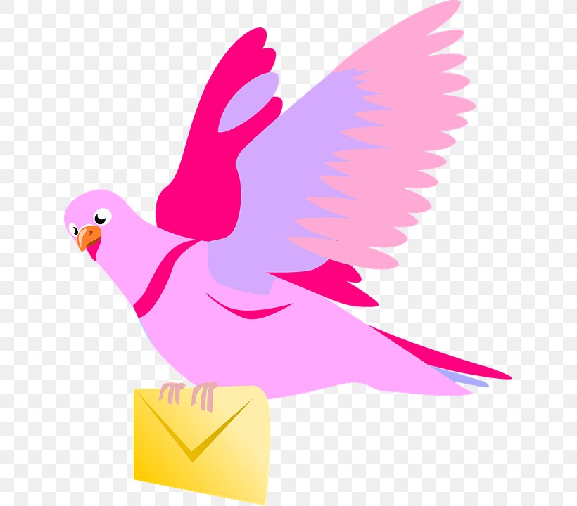 English Carrier Pigeon Columbidae Clip Art, PNG, 637x720px, English Carrier Pigeon, Artwork, Beak, Bird, Chicken Download Free