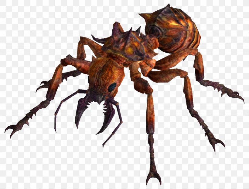 Fallout: New Vegas Fallout 3 Fallout 4 Wasteland Ant, PNG, 1024x776px, Fallout New Vegas, Ant, Arthropod, Bee, Bullet Ant Download Free