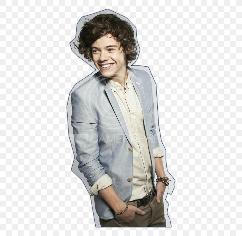 Harry Styles Photography One Direction, PNG, 532x800px, Watercolor, Cartoon, Flower, Frame, Heart Download Free