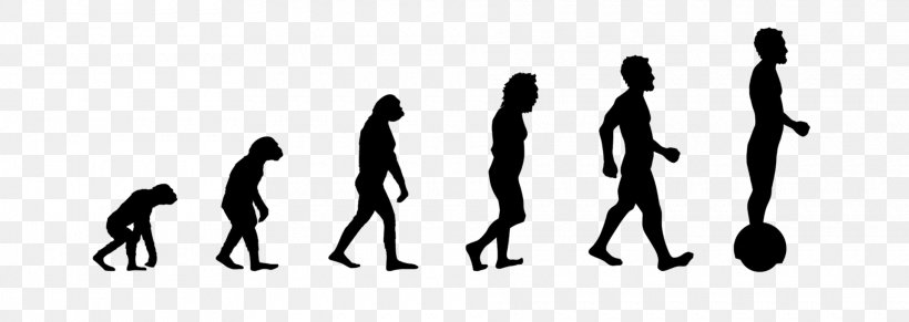 Human Evolution Neanderthal Wall Decal, PNG, 1920x683px, Human, Ape, Arm, Black, Black And White Download Free