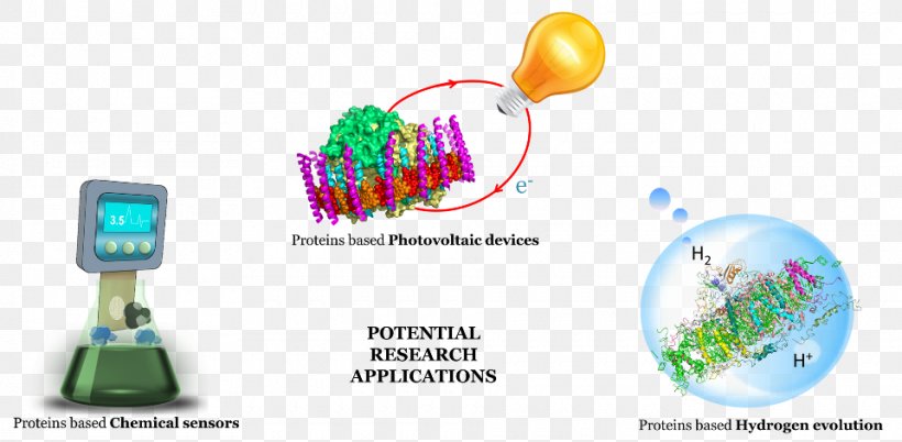 Photosynthesis Solar Energy Conversion Research, PNG, 960x471px, Photosynthesis, Advertising, Algae, Brand, Communication Download Free