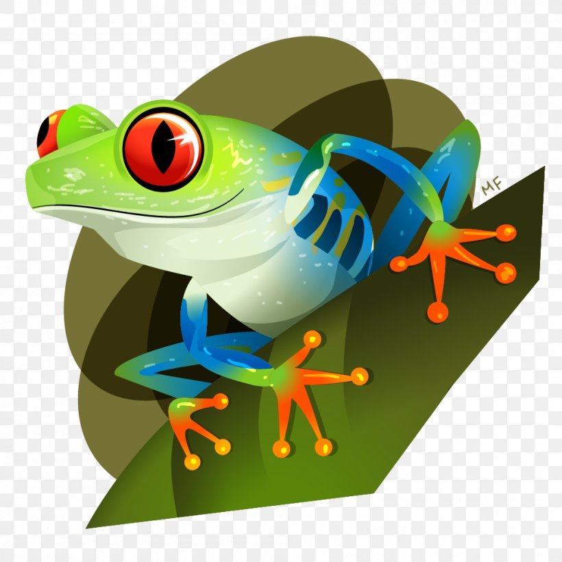 Red-eyed Tree Frog True Frog Red Eye, PNG, 1000x1000px, Tree Frog, Amphibian, Animal, Behance, Biodiversity Download Free