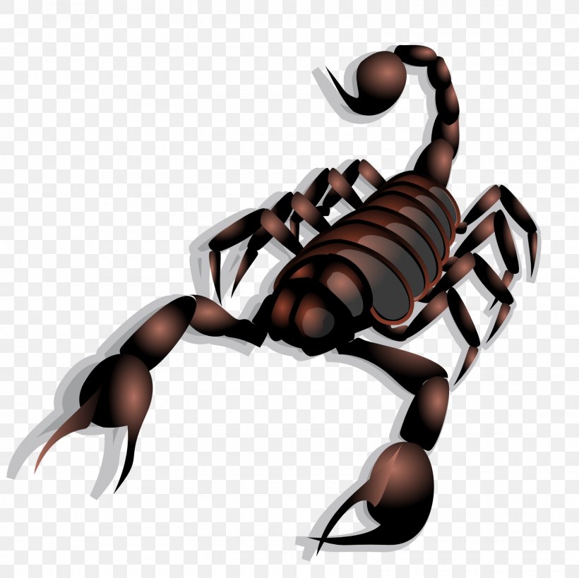 Scorpion Drawing Clip Art, PNG, 1600x1600px, Scorpion, Arachnid, Arthropod, Cdr, Claw Download Free