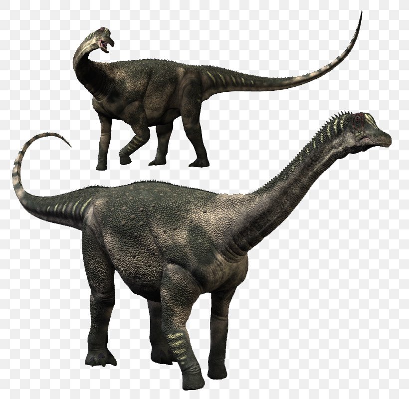 Velociraptor Antarctosaurus Dinosaur King Ampelosaurus Tyrannosaurus, PNG, 800x800px, 3d Computer Graphics, Velociraptor, Abelisaurus, Ampelosaurus, Animal Figure Download Free
