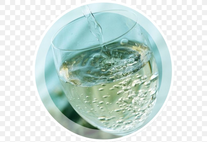 Carbonated Water Tempura Wine Inkerman Spritzer, PNG, 563x563px, Carbonated Water, Drink, Food, Glass, Greasy Hair Download Free