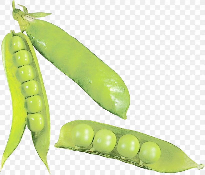 Pea Legume Snap Pea Snow Peas Plant, PNG, 2753x2356px, Watercolor, Food, Fruit, Legume, Legume Family Download Free