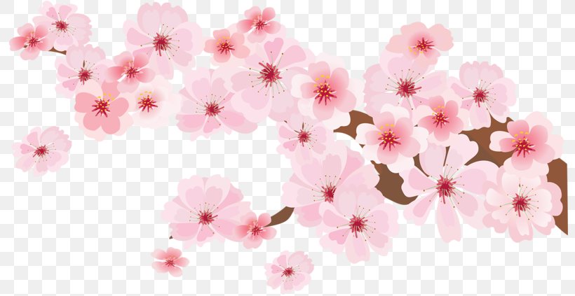 Watercolor Painting Illustration, PNG, 800x423px, Watercolor Painting, Azalea, Blossom, Cherry Blossom, Designer Download Free