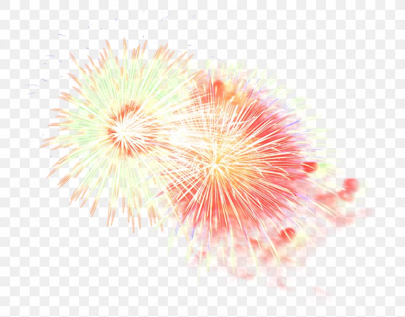 Adobe Fireworks, PNG, 1350x1058px, Fireworks, Adobe Fireworks, Close Up, Computer Software, Flower Download Free