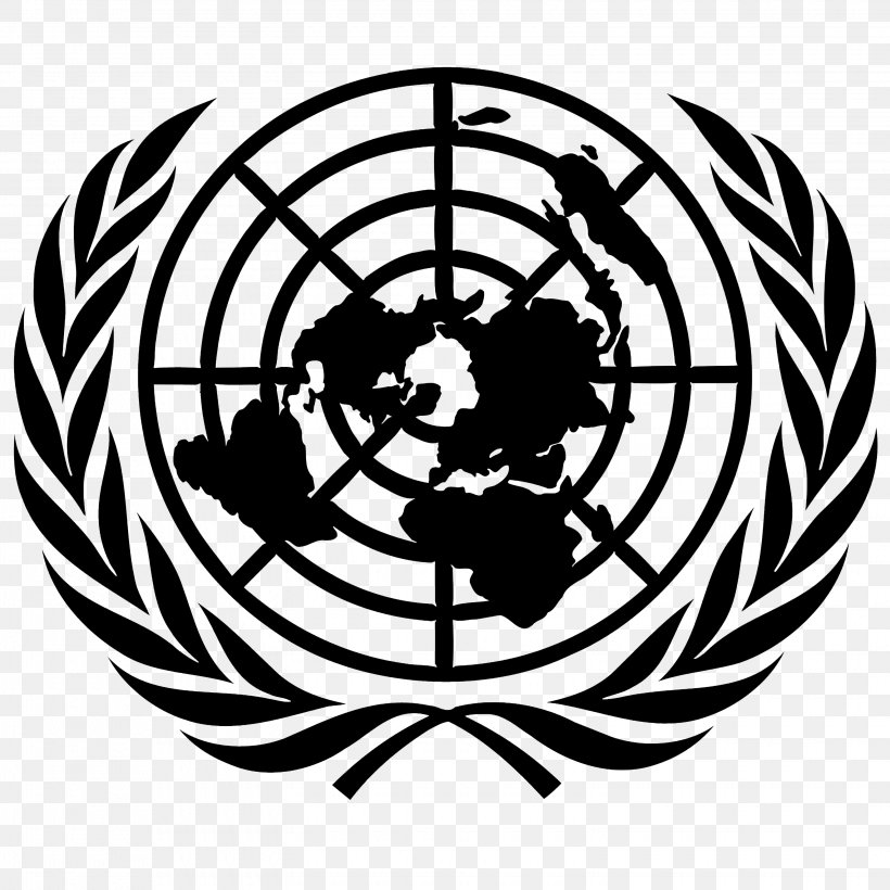 Besant Hill School United Nations University Flag Of The United Nations Model United Nations, PNG, 3100x3100px, Besant Hill School, Ball, Black And White, Flag Of The United Nations, Logo Download Free