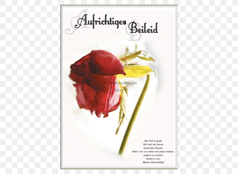 Condolences Greeting & Note Cards Beileidskarte Garden Roses Post Cards, PNG, 600x600px, Condolences, Advertising, Art, Beileidskarte, Cut Flowers Download Free