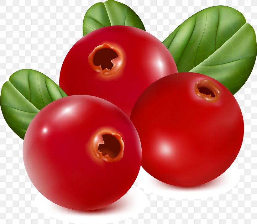 Fruit Strawberry Blueberry, PNG, 2233x1948px, Fruit, Accessory Fruit, Acerola, Acerola Family, Apple Download Free
