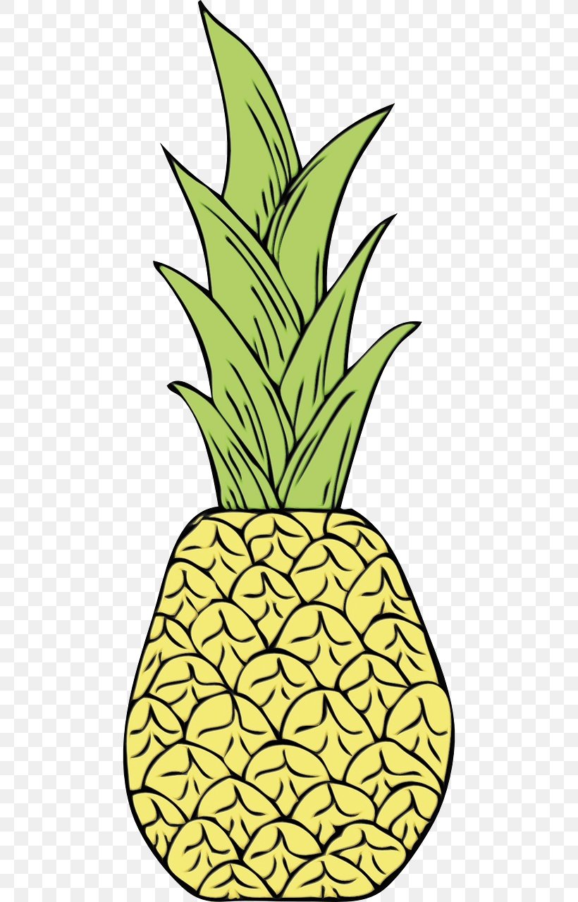 Pineapple Png X Px Watercolor Ananas Food Fruit Paint Download Free