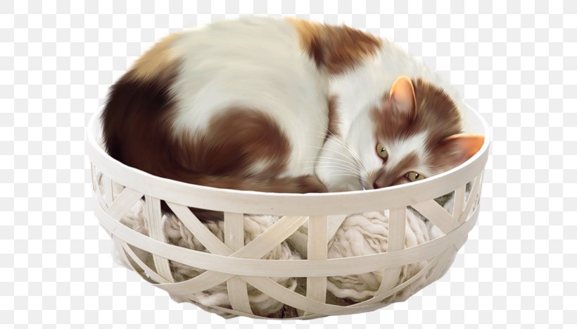 Cat Kitten Diary Clip Art, PNG, 600x467px, Cat, Blog, Bowl, Cat Like Mammal, Cat Supply Download Free