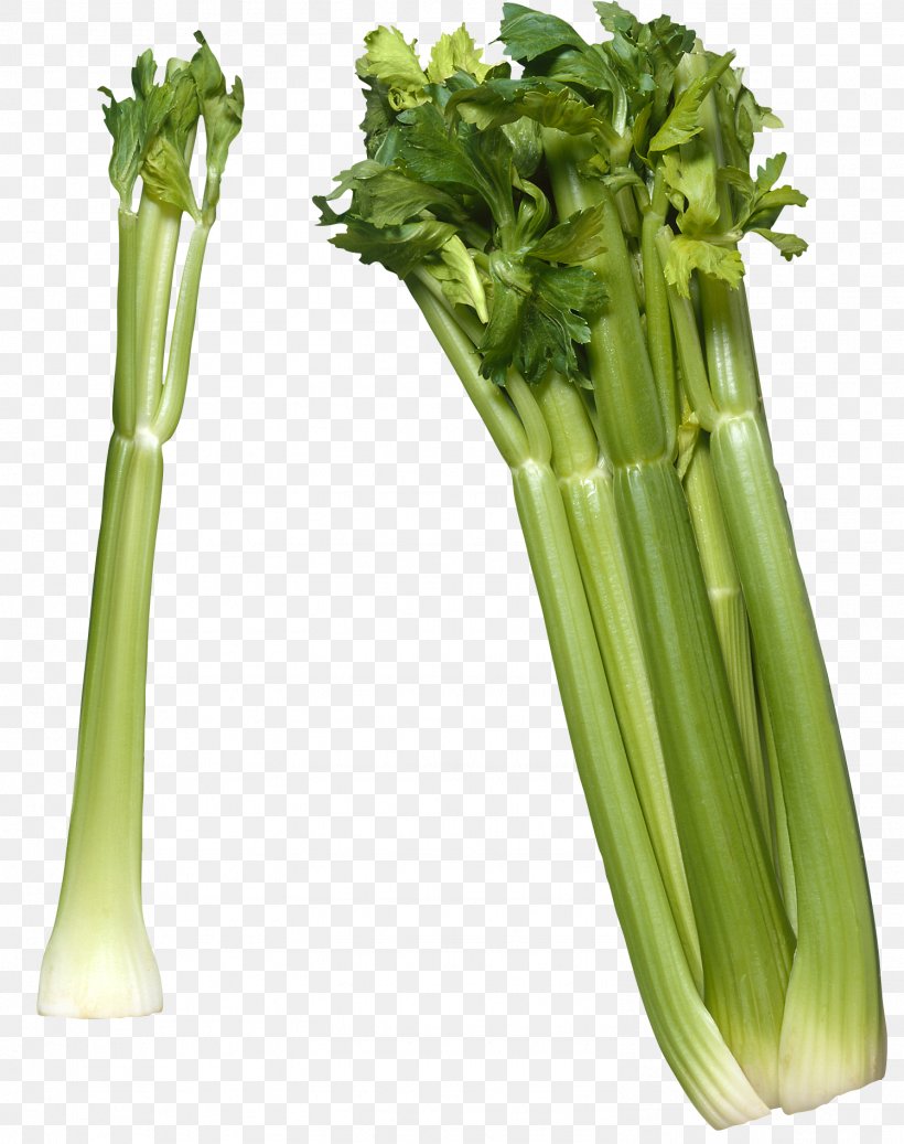 Celery Raw Foodism Vegetable Celeriac Clip Art, PNG, 1497x1894px, Celery, Celeriac, Celery Salt, Delivery, Fennel Download Free