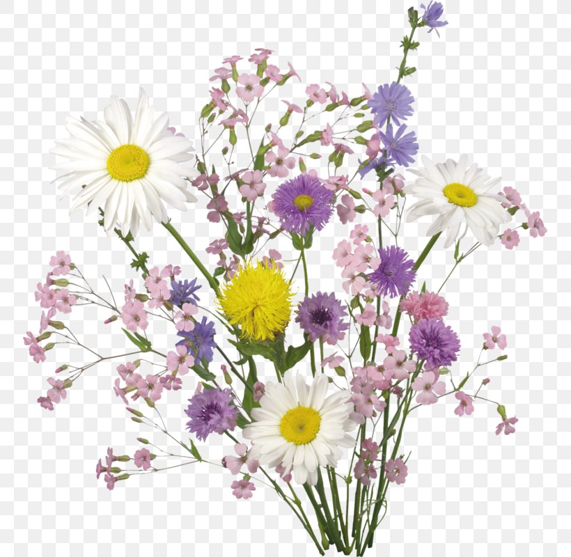 Flower Wallpaper, PNG, 753x800px, Flower, Annual Plant, Artificial Flower, Aster, Chamaemelum Nobile Download Free