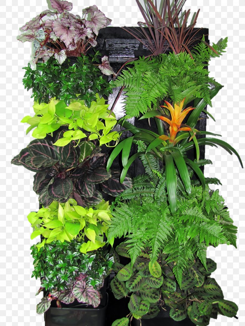 Houseplant Green Wall Garden Flowerpot, PNG, 975x1300px, Houseplant, Flower, Flowerpot, Forest Gardening, Garden Download Free