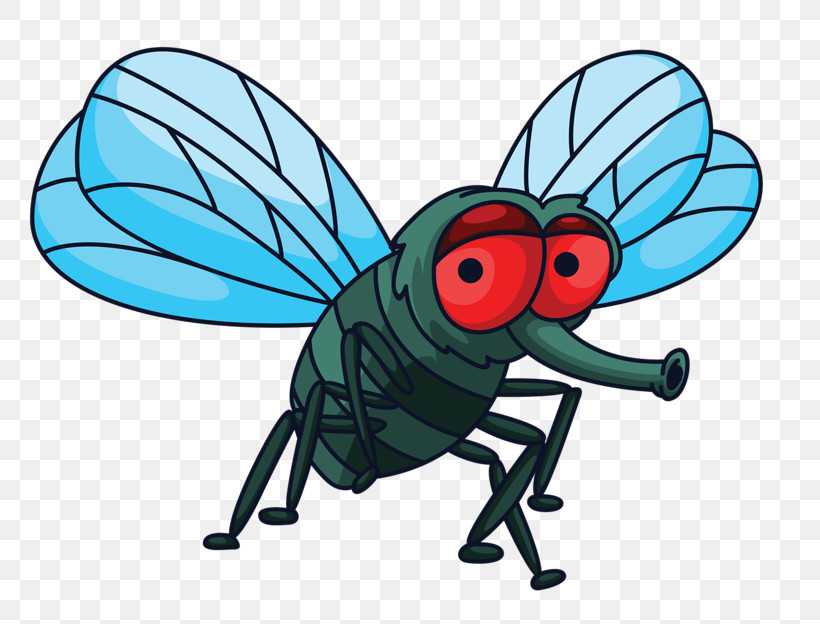 Insect Cartoon Fly House Fly Wing, PNG, 800x624px, Insect, Animation, Blowflies, Cartoon, Damselfly Download Free
