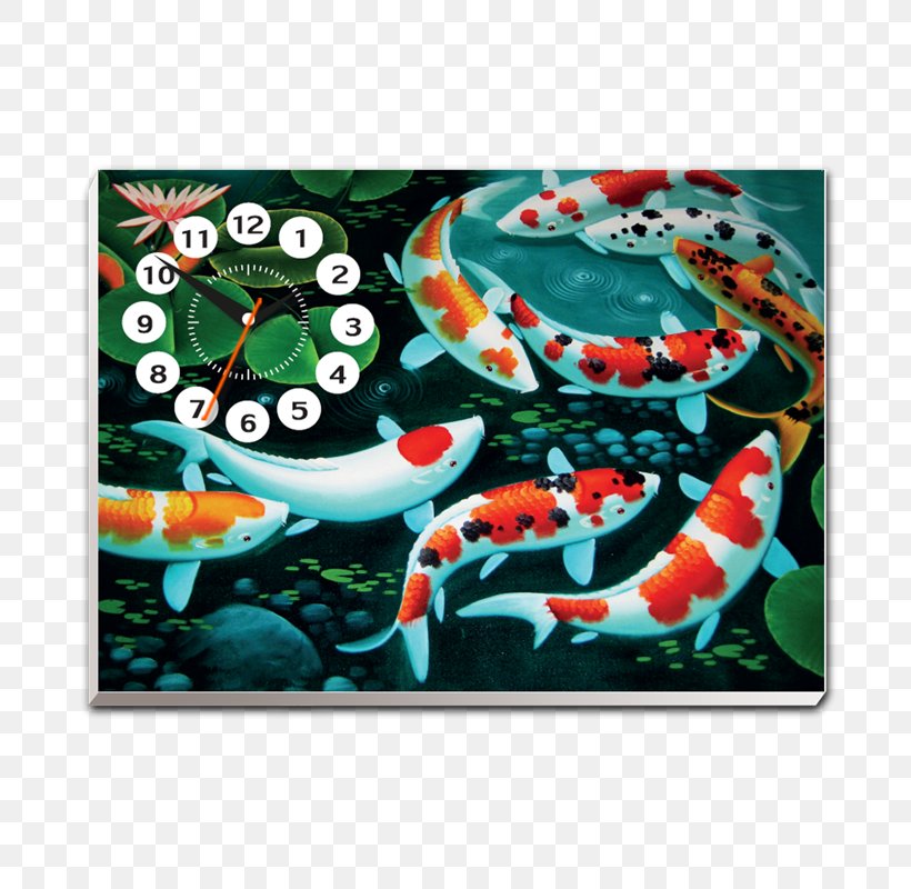 Koi Jellyfish Lake Fish Pond, PNG, 800x800px, Koi, Common Carp, Desktop Metaphor, Fish, Fish Fin Download Free