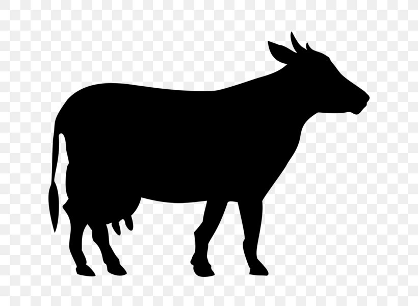 Welsh Black Cattle White Park Cattle Holstein Friesian Cattle Beef Cattle Taurine Cattle, PNG, 640x600px, Welsh Black Cattle, Beef Cattle, Black And White, Cattle, Cattle Like Mammal Download Free