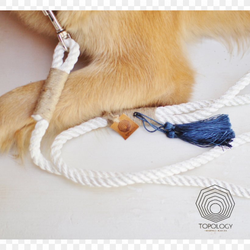 Dog Collar Leash Rope Lead, PNG, 2000x2000px, Dog, Blue, Climbing, Collar, Dog Collar Download Free