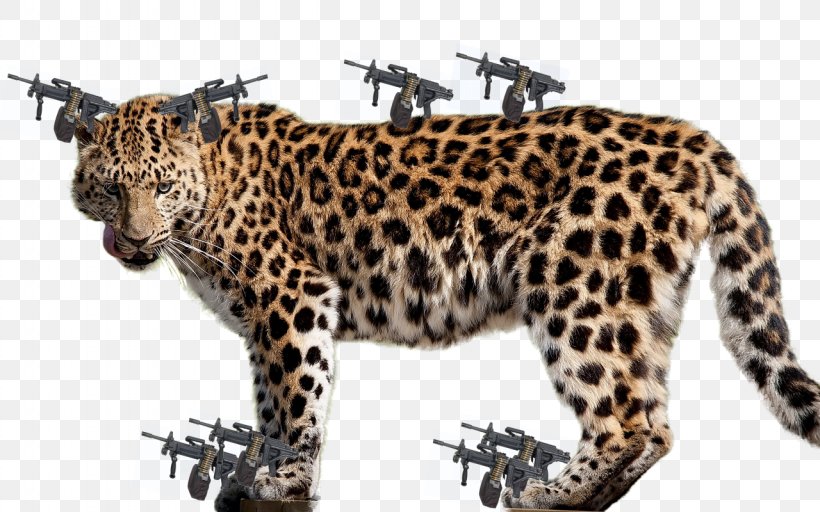 Felidae Jaguar Cheetah African Leopard, PNG, 1280x800px, Felidae, African Leopard, Amur Leopard, Animal Figure, Big Cat Download Free