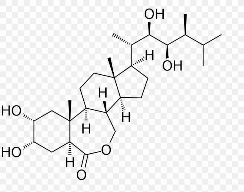 Plant Hormone Indore Brassinolide Manufacturing, PNG, 975x768px, Watercolor, Cartoon, Flower, Frame, Heart Download Free