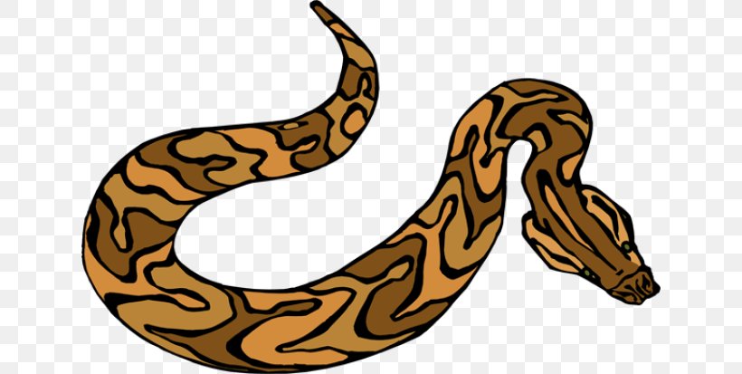 Snakes Clip Art Image Green Anaconda, PNG, 640x413px, Snakes, Anaconda, Boa, Boa Constrictor, Boas Download Free