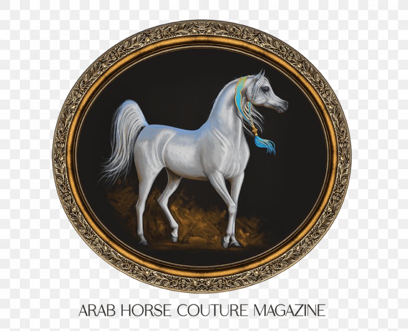 Arabian Horse Dubai International Horse Fair Thoroughbred Equestrian Stallion, PNG, 900x730px, Arabian Horse, Breed, Dubai, Dubai International Horse Fair, Equestrian Download Free