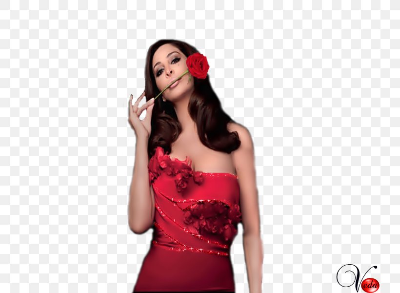 Cocktail Dress Photo Shoot Microphone Shoulder, PNG, 800x600px, Watercolor, Cartoon, Flower, Frame, Heart Download Free