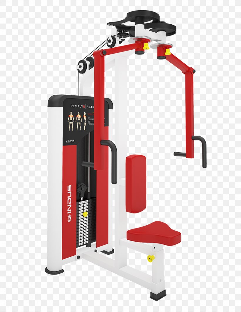 Fitness Centre Exercise Equipment Indus Gym Equipment Weight Training Fly, PNG, 850x1100px, Fitness Centre, Bench Press, Chinup, Dip, Exercise Download Free