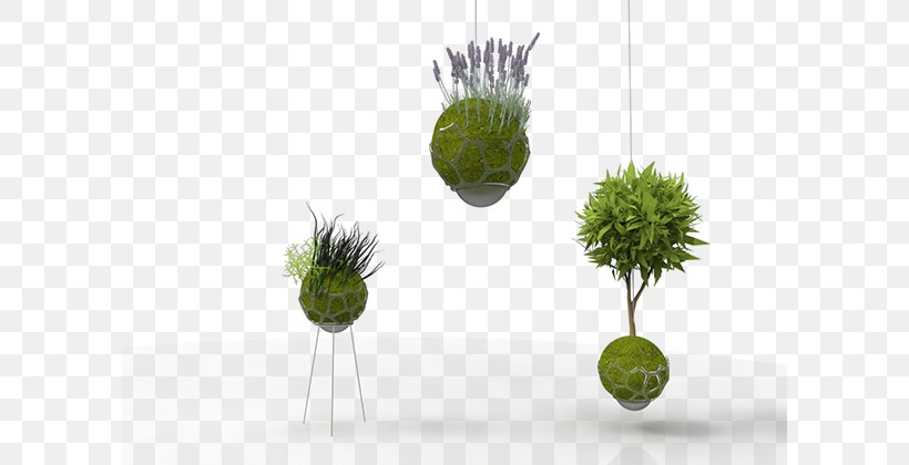 Product Design Kokedama Behance Flowerpot Self-sustainability, PNG, 600x420px, Kokedama, Behance, Flowerpot, Food, Grass Download Free