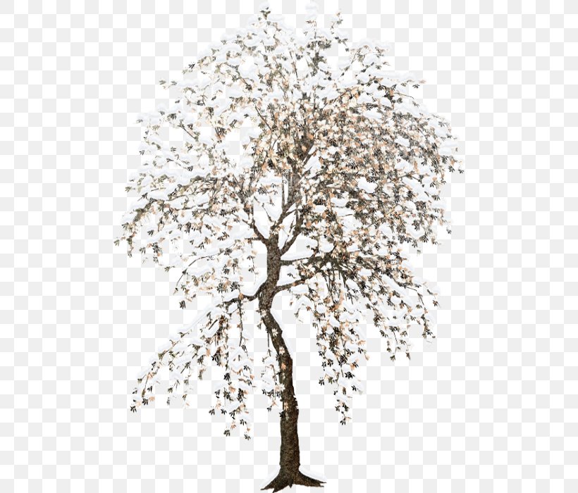 Tree Microsoft Paint Clip Art, PNG, 500x700px, Tree, Branch, Collage, Flowering Plant, Forest Download Free