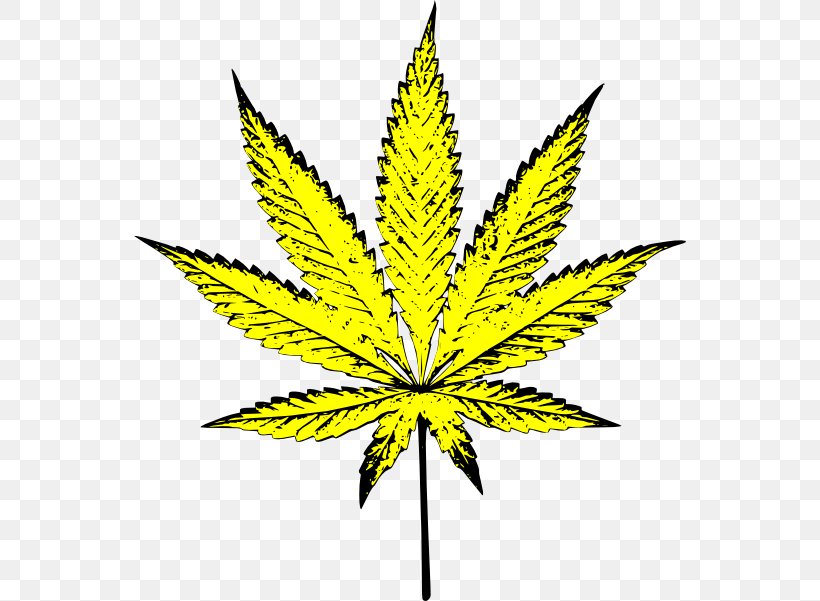 Cannabis Symbol Clip Art, PNG, 552x601px, Cannabis, Black And White, Color, Dandelion, Drawing Download Free